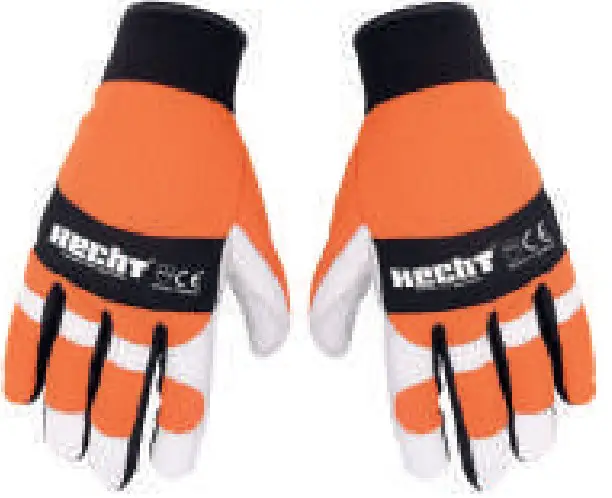 RECOMMENDED ACCESSORIES