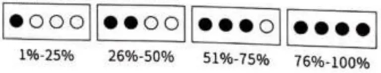 Fonu iPhone XS Case with Power Bank - LED Indicator