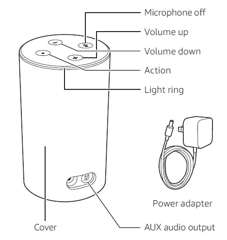 Getting to know Echo