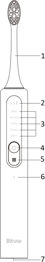 Bitvae S3 Smart Electric Toothbrush - Product Design Descriptions 1