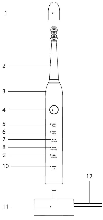 zelmer-ZTB1010W-Sonic-Electric-Toothbrush-fig-1