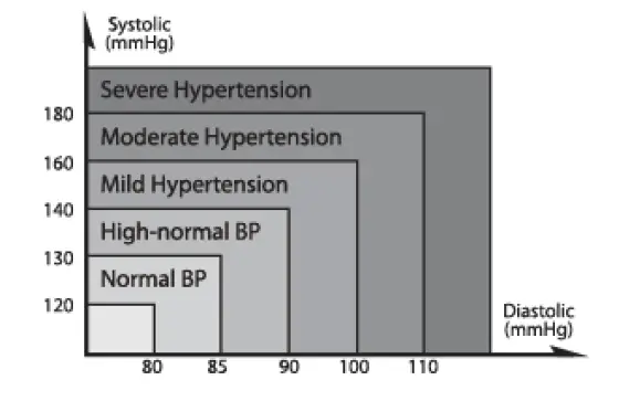 Classifications of Blood Pressure for Adult