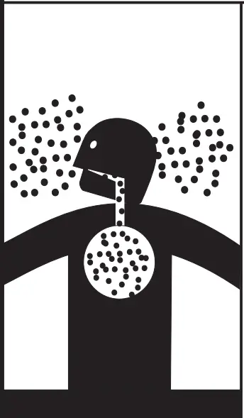 Breathing Hazard - Carbon Monoxide Gas