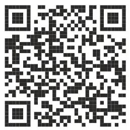 HABYS Mobile Matt Massage Chair - QR.