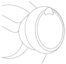 Avalon-A1WATERCOOLER-Cooler-Dispenser-img-11