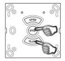 Delete All Previous Programmed Channels