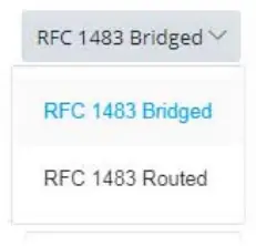 DrayTek Vigor 167 VDSL2 35b and ADSL2+ Modem - Encapsulation2