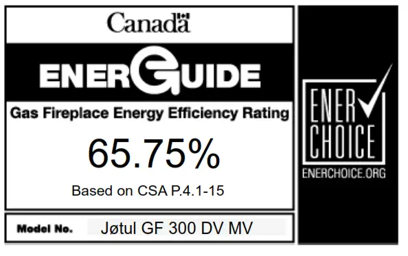 JOTUL GF 300 DV Direct Vent Gas Stove Steel Burner - iconf