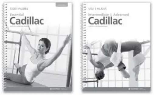 merrithew-Spring-Wall-Training-Kit-fig-6