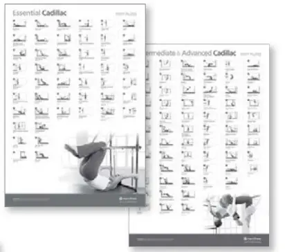 merrithew-Spring-Wall-Training-Kit-fig-7