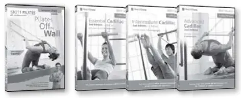 merrithew-Spring-Wall-Training-Kit-fig-8