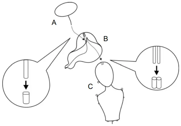 HOME ACCENTS 22RT1222211 Polar Wishes LED Angel with Star - Assembling the Hair