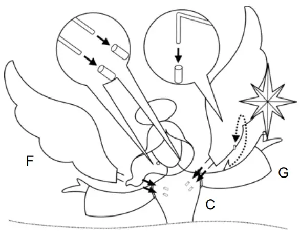 HOME ACCENTS 22RT1222211 Polar Wishes LED Angel with Star - Wings to the Head