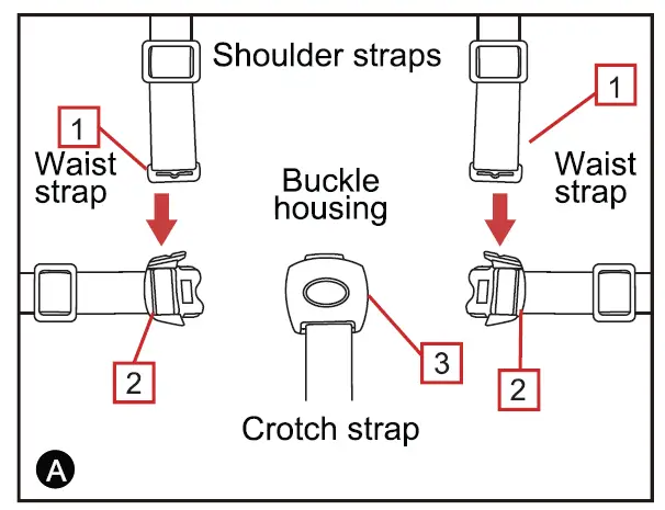 evolur-478-Infinity-Convertible -Stroller-22