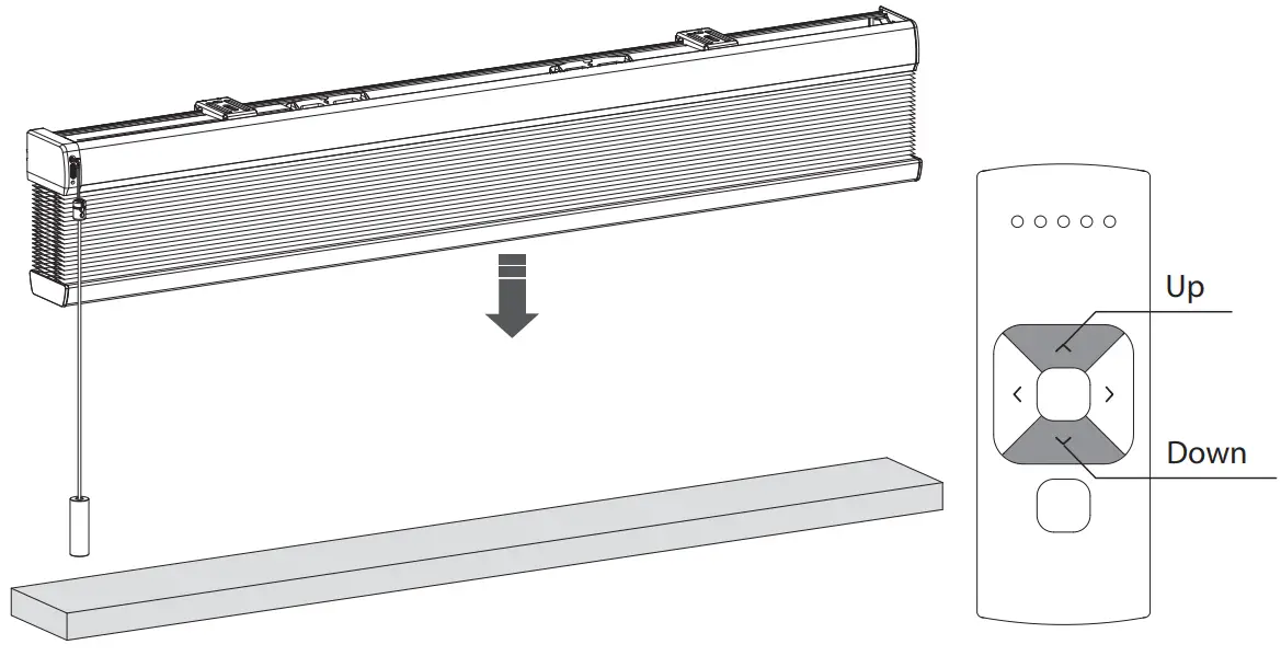 Check rotational direction