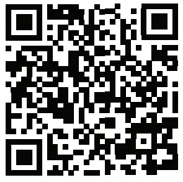 Swifty SCOOTERS SwiftyAIR Adult Dirt Scooter SwiftyAIR Black Anthracite - QR Code