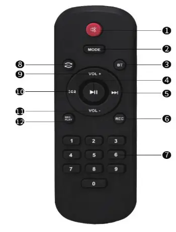 JYX-66BT Karaoke Machine with Two Wireless Microphones - Remote control+