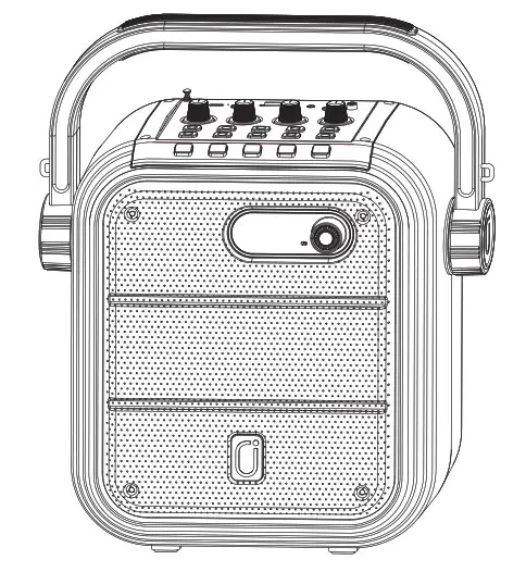 JYX-66BT Karaoke Machine with Two Wireless Microphones