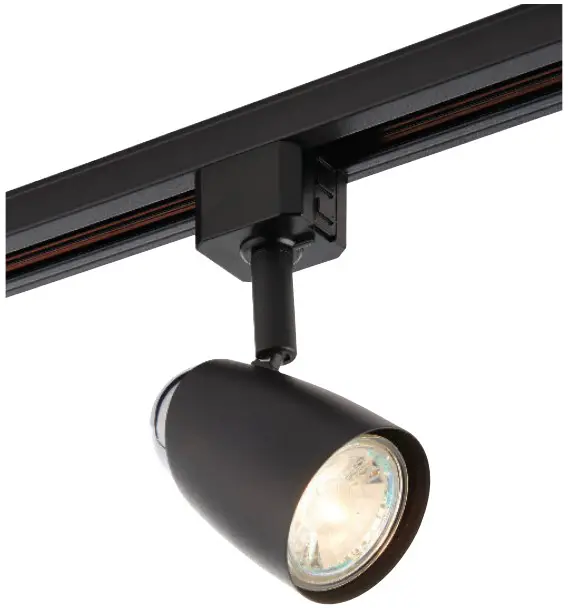 Monte TracK spotlight