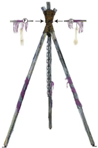 Assembly Instruction