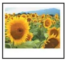 Printing Pack Preparation