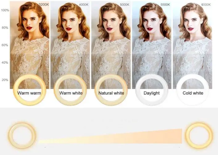 Selfila-3200k-6500K-Video-Conference-Lighting-Kit-fig-3