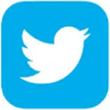 Twitter icon 2