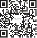 evolur- 366 -Infinity- Convertible -Stroller -Connector 19