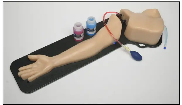 CAE-BPA304-HP-Gen-II-PICC-PIV-and-Arterial-Line-Vascular-Access-Ultrasound-Training-Model-1