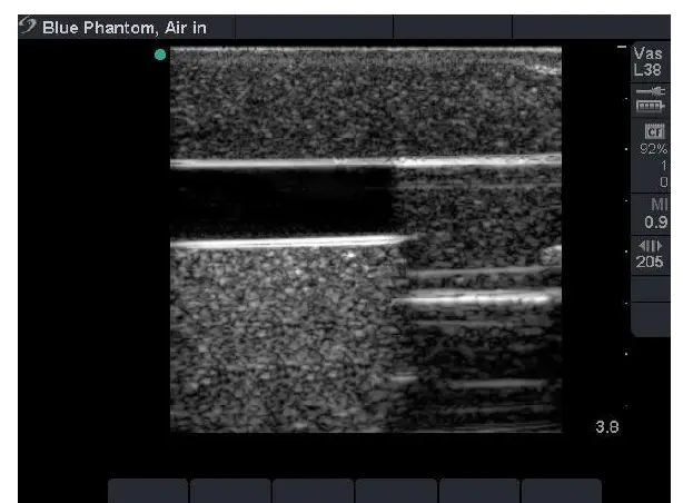 CAE-BPA304-HP-Gen-II-PICC-PIV-and-Arterial-Line-Vascular-Access-Ultrasound-Training-Model-3