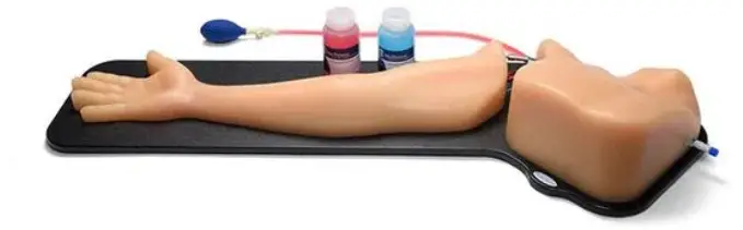 CAE-BPA304-HP-Gen-II-PICC-PIV-and-Arterial-Line-Vascular-Access-Ultrasound-Training-Model-product-image