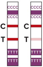 FDA-COVI-Go-SARS-CoV-2-Ag-Self-Test-fig 14