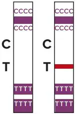 FDA-COVI-Go-SARS-CoV-2-Ag-Self-Test-fig 15