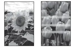 Cannon TS3100 Pixma Printer fig-43