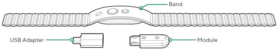 Carbon Health CH M1 11 LogBand - Contents
