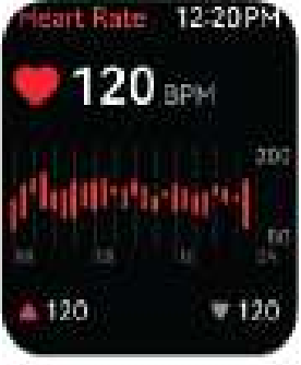 Heart Rate Monitor 