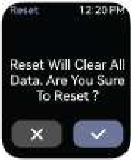 Factory Reset
