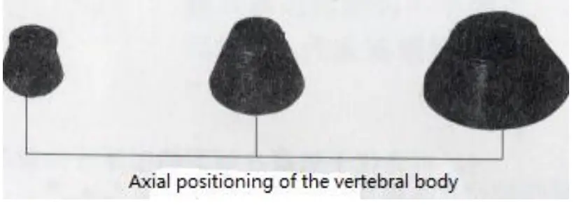 standard accessories