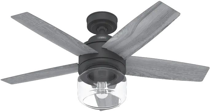 Hunter 52287 Margo 44 Inch Ceiling Fan