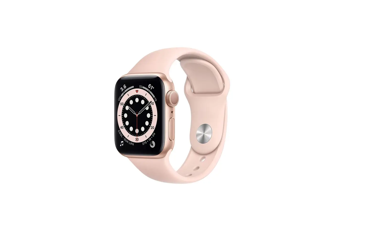 Apple Series 6 Stainless Steel Watch User Guide
