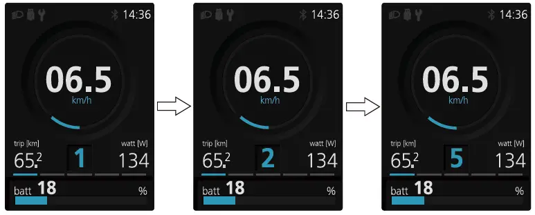 BAFANG-DP-C271-CAN-Display-fig-10