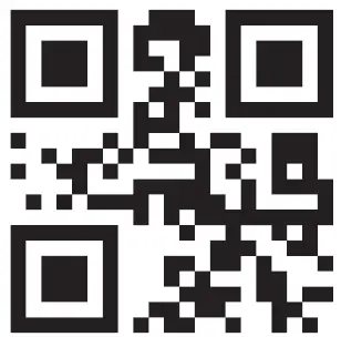 TOYZ Loader Ride On Push Cars 4