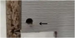 MAMA Under Sink Column Cover with 2 Doors and 2 Drawers Z3