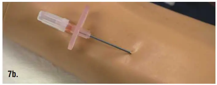 Nasco HEALTHCARE IV Training Arm and Hand Unit - Figure