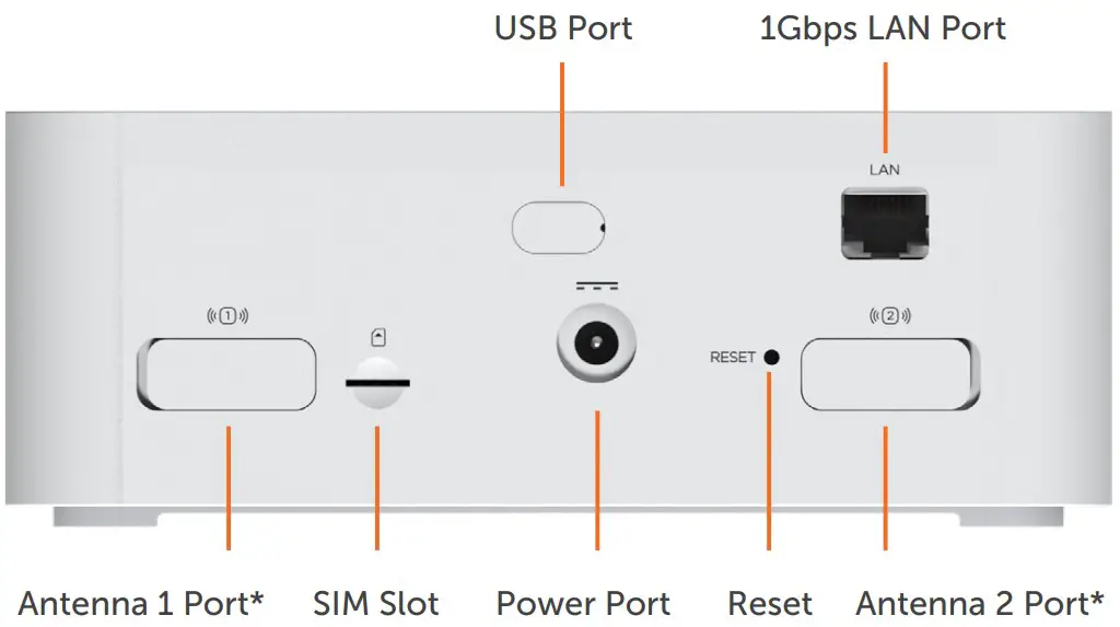 Back view of the device
