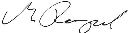 DEWALT-DWD241-Dual-Handle-Paddle-Mixer-fig-6