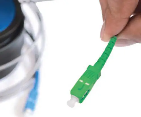 NETPEPPERS-Futura-Launch-Lead-06