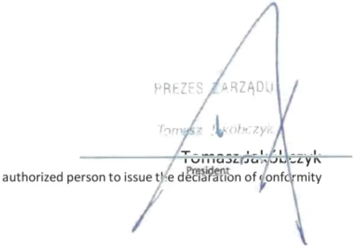 BLAUPUNKT CP4010 Car Polisher - Signature