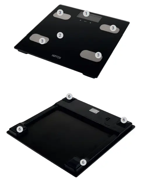 HOFFEN-BFS-2338-B-Analytical-Scale-02