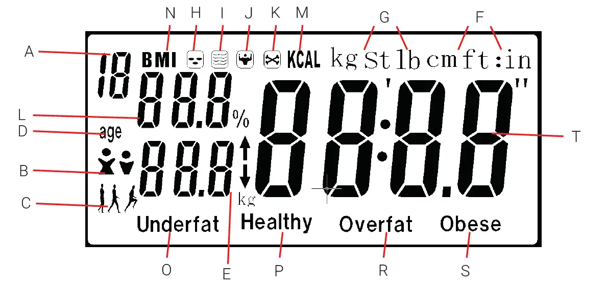 HOFFEN-BFS-2338-B-Analytical-Scale-05